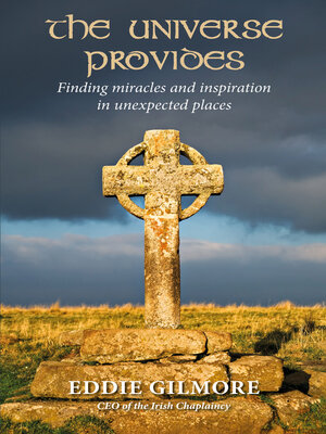cover image of The Universe Provides